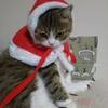 クリスマス前のポムとムー