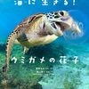 【海の環境問題】を考える絵本＝おすすめ８選＝