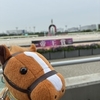 帝王賞2026