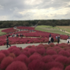 ひたちなか海浜公園