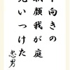 下向きの朝顔我が庭見いつけた