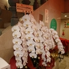 元町中華街のパン屋「ポンパドウル」