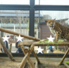 2015.12.15 写真たくさん、京都市動物園