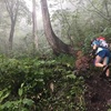 【レースレポート】上州武尊山スカイビュートレイル70ー前編ー