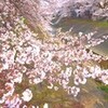 毎日カフェ・・・