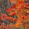 破風山避難小屋に泊まってみる