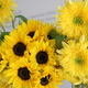 【 Happy Flower Friday‼︎ 】vol.25