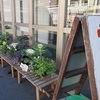 師走のお店入り口にきれいな「寄せ植え鉢」