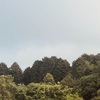 今朝の景色
