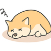 所用を色々済ませた昨日のことを長々乱文