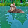 Werewolves（9）