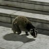 ひとりじゃなくなった朝