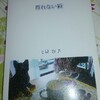 詩集「群れない猫」発刊！！