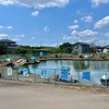 日高市民釣り堀場（埼玉県日高）