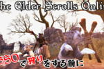 ESOのレベリングのお話