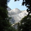 MA-CA旅行記 6日目 - Yosemite National Park