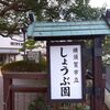 春近し！
