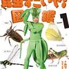 香川照之の昆虫すごいぜ！「夕陽に赤とんぼを見たか」2021年11月3日（水・祝）に放送