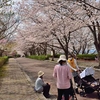 4月になって馬鹿陽気