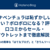 ボナベンチュラは恥ずかしい？ダサい？ボロボロになる？評判・口コミからセール・アウトレットまで徹底解説！