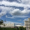 何時の間にか明日はお彼岸の中日