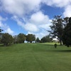 初めてのニュージーランドでのゴルフは市街地コース。Akarana Golf Club （アカラナ ゴルフ クラブ） 市街地でも動植物が一杯いて、楽しくプレーが出来ました。