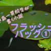 フラッシュバック第一話【公立中高一貫校生が書く小説】