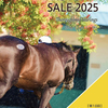 【オータムセール2025(Autumn Sale)】～総合結果概要(最高額馬写真･動画など)