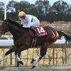 日曜競馬　展望