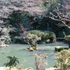 長楽寺訪問記