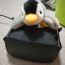ペンギン🐧