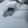 ここにきてドカ雪。