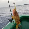 刺身は寝かせません…