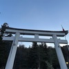 初詣と初夢