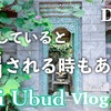 久しぶりに騙された　バリ島ウブド4日目