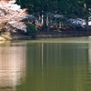 新宮池（静岡県浜松）
