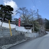 矢掛町 観照寺の臥龍梅