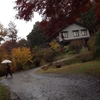 2014.11.26.水曜、雨。