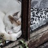 私はどこにもいかない。