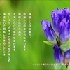 こころの道しるべ（233）質素に生きる