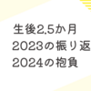 育児日記　生後2.5か月　初詣　2023の振返りと2024の抱負