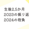 生後2.5か月　初詣　2023の振返りと2024の抱負