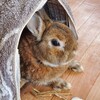 今日は、少しのんびり&お買い物デー♪