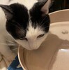 偶然というか（７）