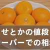 せとかの値段はスーパーでいくら？相場・販売場所・高い理由を徹底解説