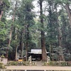 師走の恒例行事がまた一つ増えた