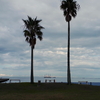 今朝の鏡ヶ浦（館山湾）