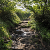 朝の光差す登山道