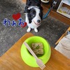 さぁ！行こう‼じゃないよ