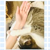 2024.06.05　この小さな家族を守りたいという気持ちが強まった一日。